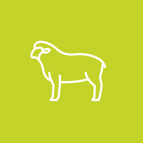 FD011 Lambs Fry, Bacon, Onion Gravy