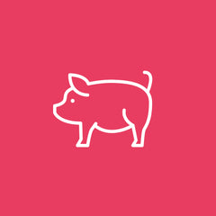 NC35 Roast Pork, Apple Sauce & Gravy (Mini)